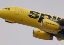 Atterrissage en Haïti : Vol de Spirit Airlines touché par des tirs.