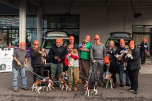 Sauvetage de plus de 20 chiens par la communauté automobile dans une opération de secours transfrontalière.