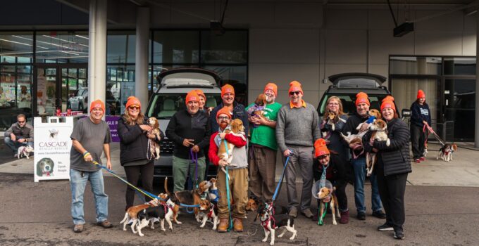 Sauvetage de plus de 20 chiens par la communauté automobile dans une opération de secours transfrontalière.